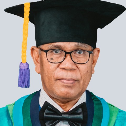 Marthen Robinson Pellokila
